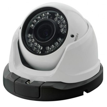 WHDW20B-AAT30 Vadalproof Sony IMX290 Sensor Full HD Dome Camera With Manual Zoom Lens