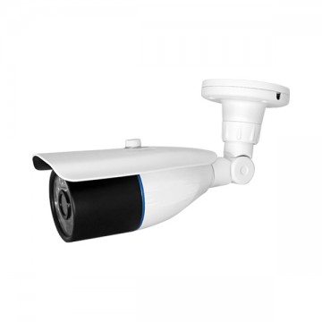 Home Security With Domestic Security Camera