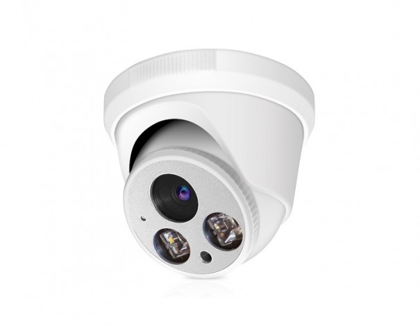 WIPS20AI-WH30F1.0 2.0M H.265+ IP Camera Voice Alarm Human Detect IP Camera